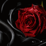 Swing Lifestyle Omaha, Meet Swingers, Couples, and Open-Minded Singles